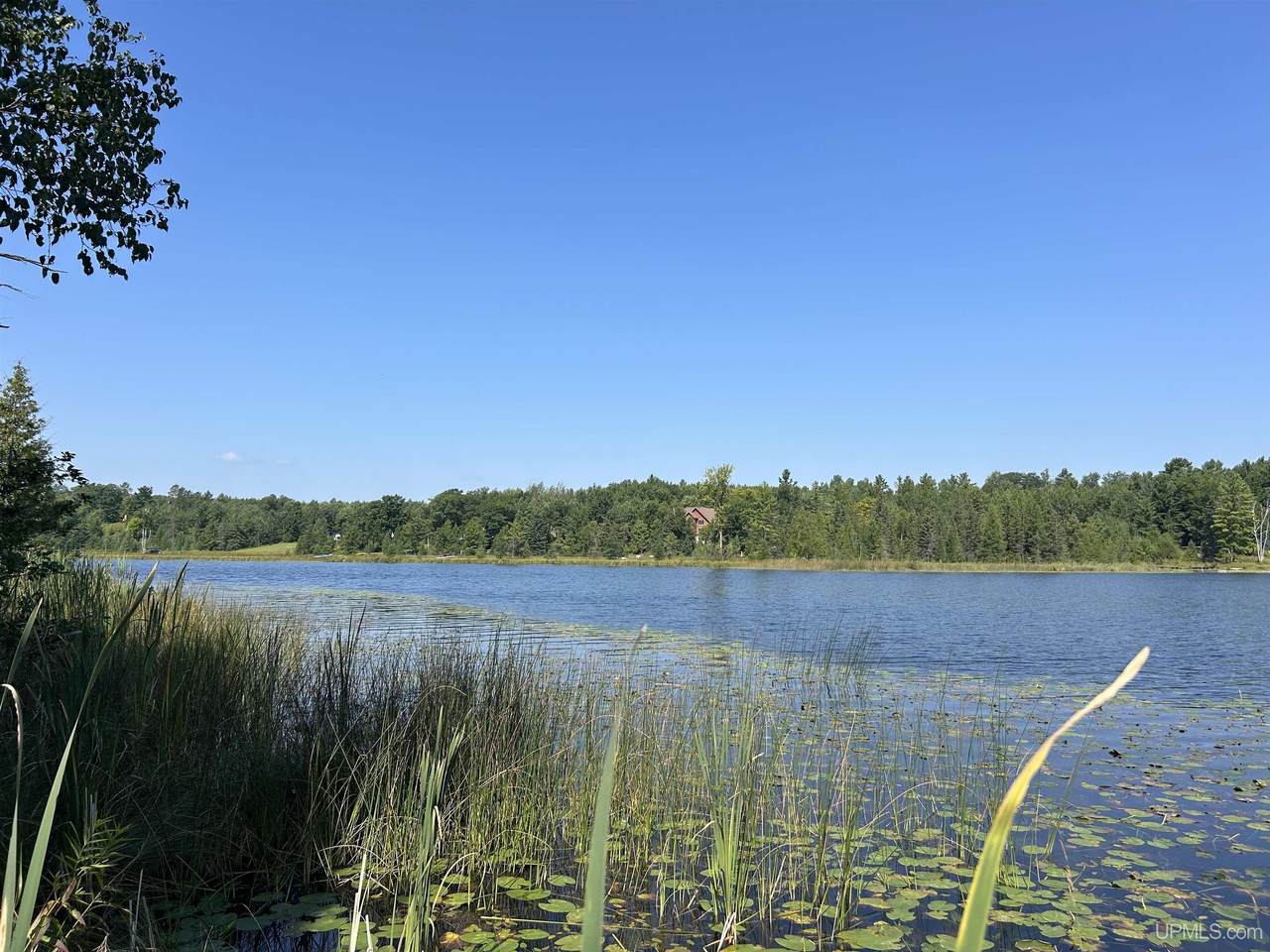 TBD Waucedah - Photo 1