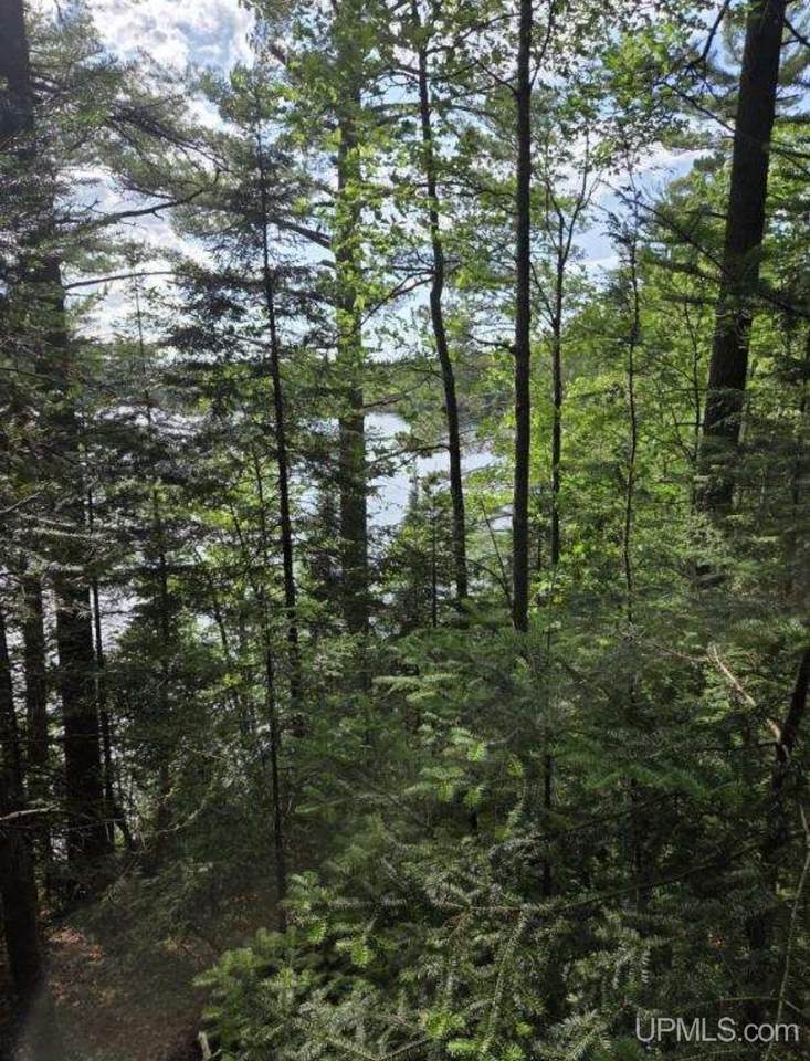 TBD Paint Lake - Photo 1