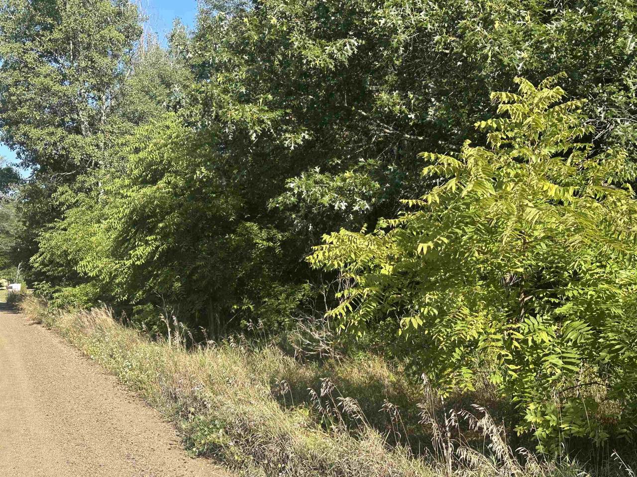 Lot 26-30 Willow - Photo 1