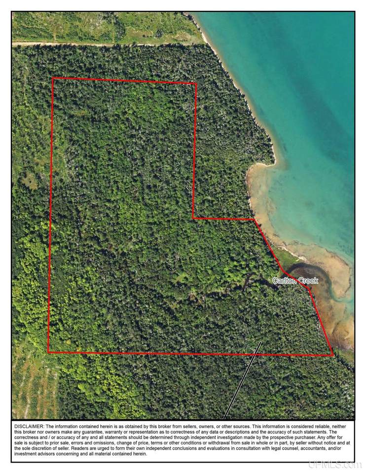 94 Acres Saint Mary's River - Photo 1