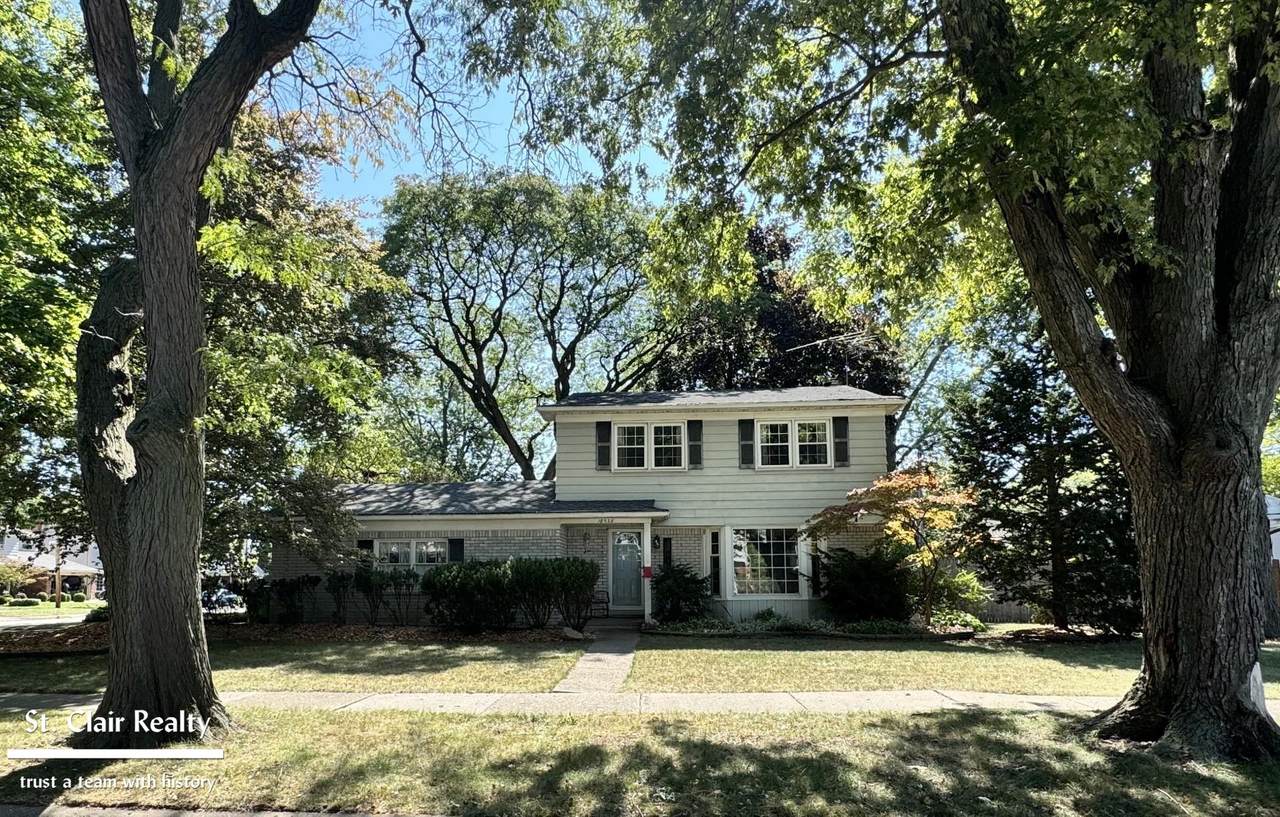 18538 Dogwood - Photo 1