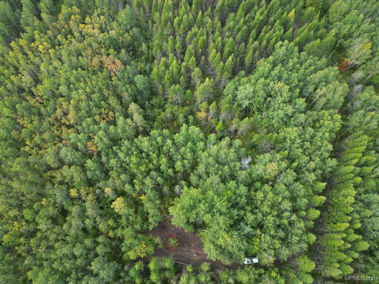 TBD Off Cr 426 - Photo 1