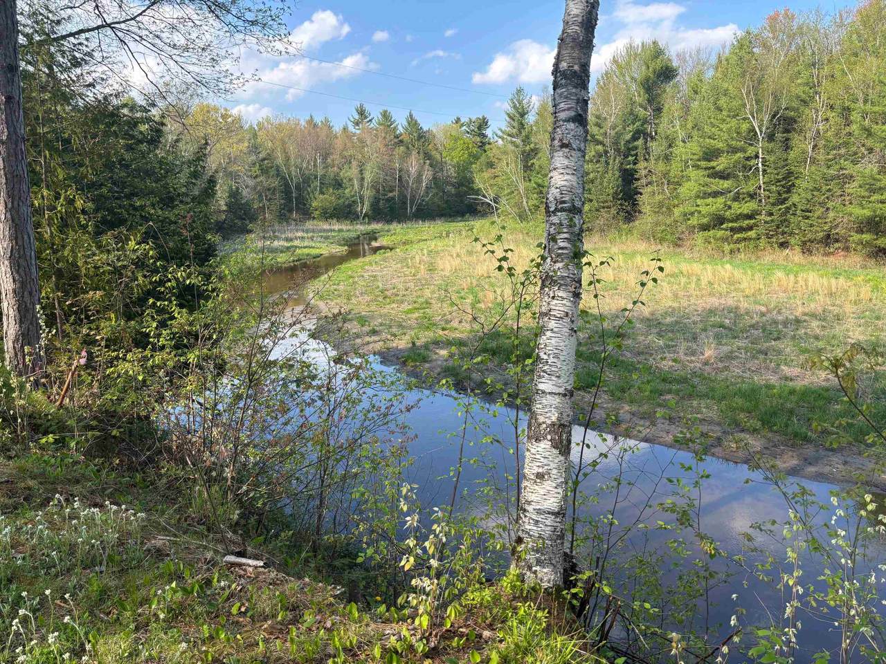 2706 Birchview - Photo 1