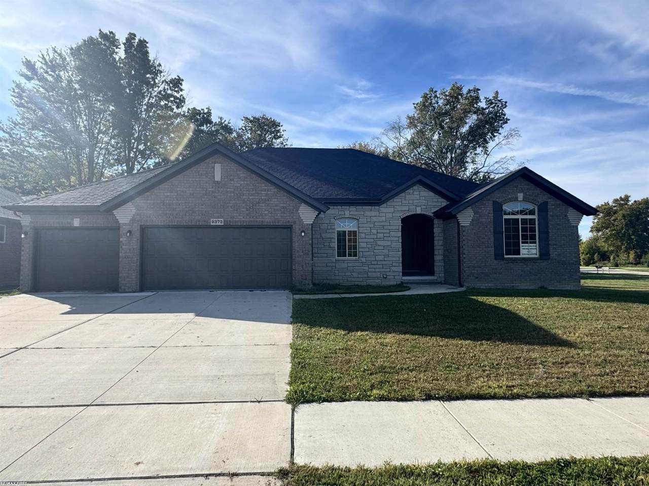 9373 Whistling Duck - Photo 1