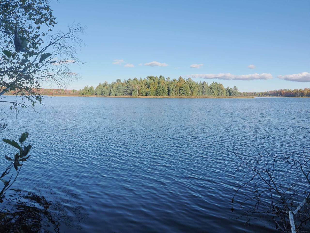 XXX Birch Shores - Photo 1