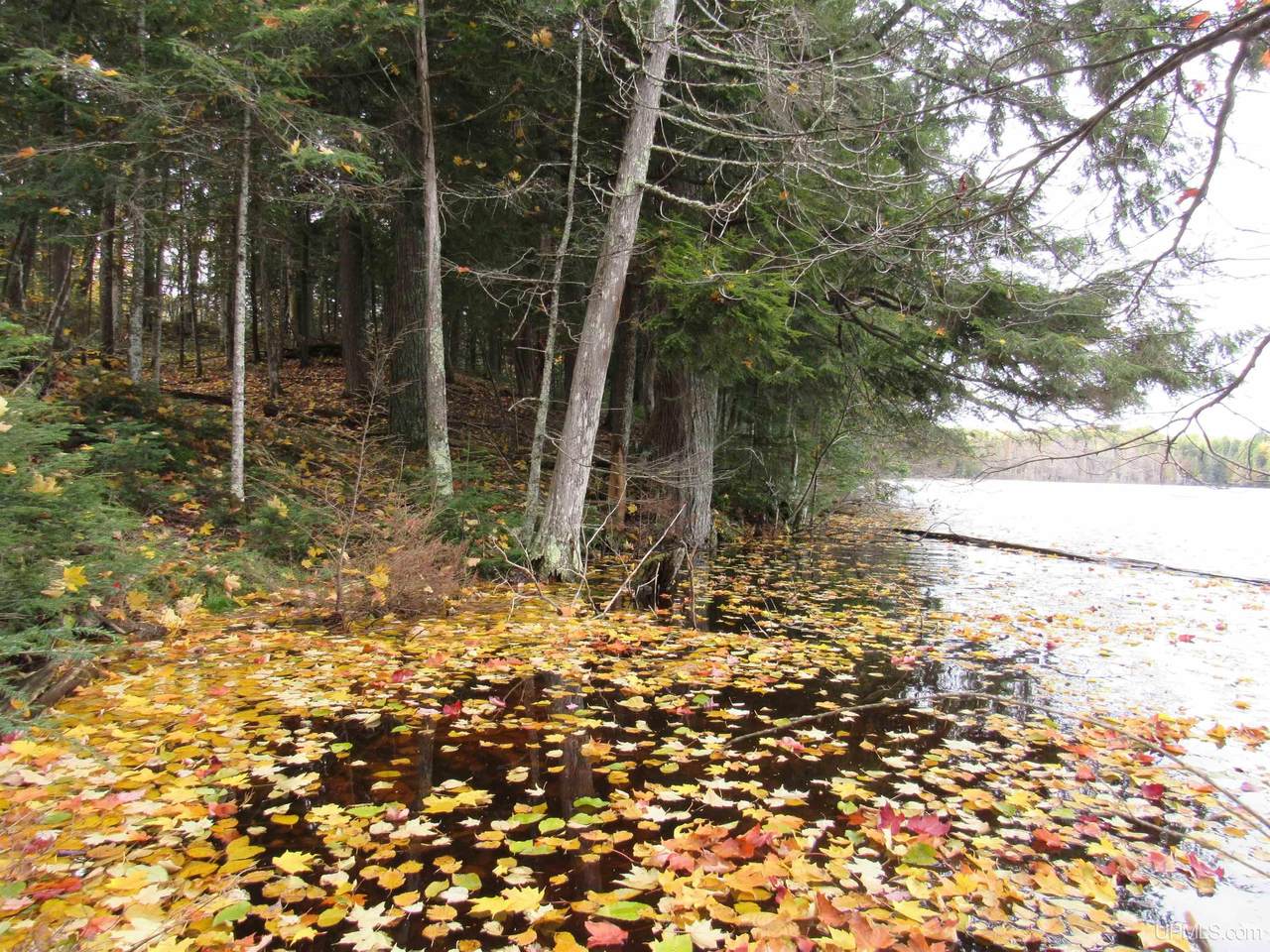 Lot 9 Little Africa Lake - Photo 1