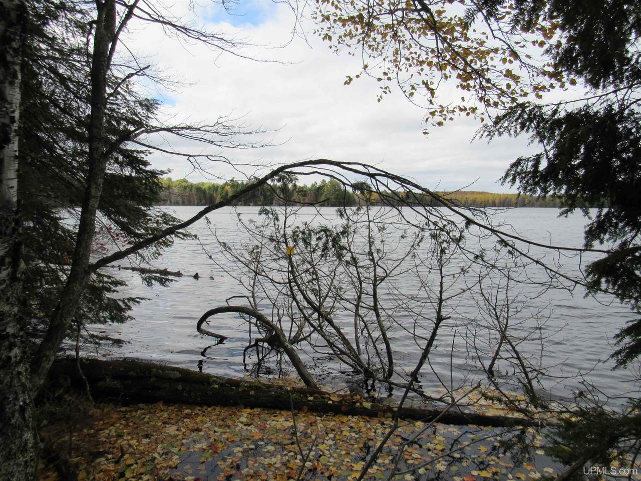 https://bt-photos.global.ssl.fastly.net/realsource/1280_boomver_1_50194232-2.jpg