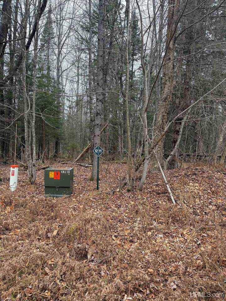 Lot 11 Keweenaw - Photo 1