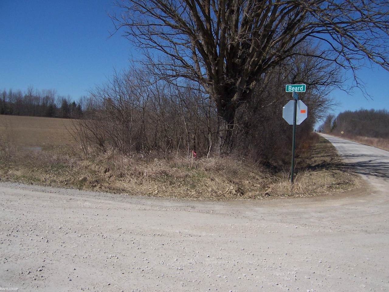 https://bt-photos.global.ssl.fastly.net/realsource/1280_boomver_1_50203858-2.jpg