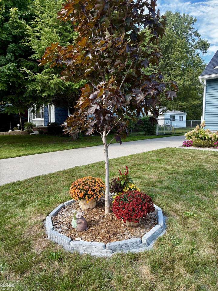 26737 Hickler - Photo 1