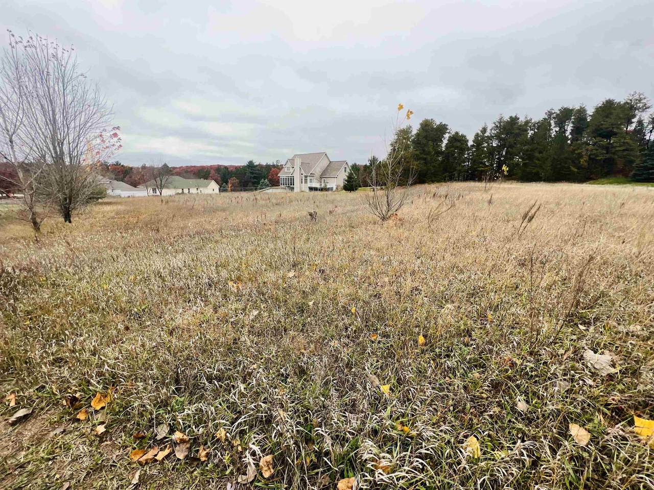 Lot 104 Mockingbird Lane - Photo 1