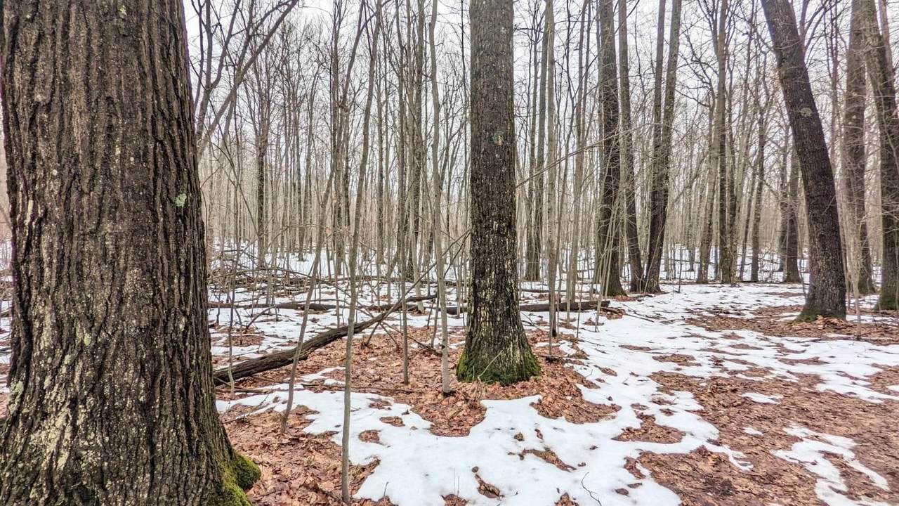 0 Peacock Trail - Photo 1