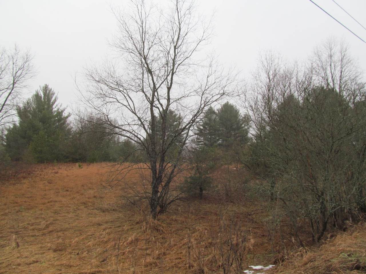 30 Acres Woodman Road - Photo 1