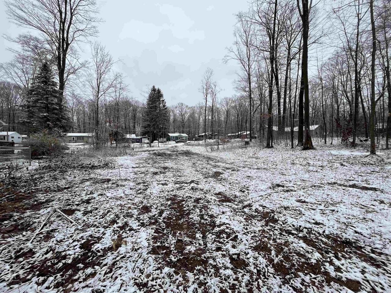 3910 White Birch Drive - Photo 1