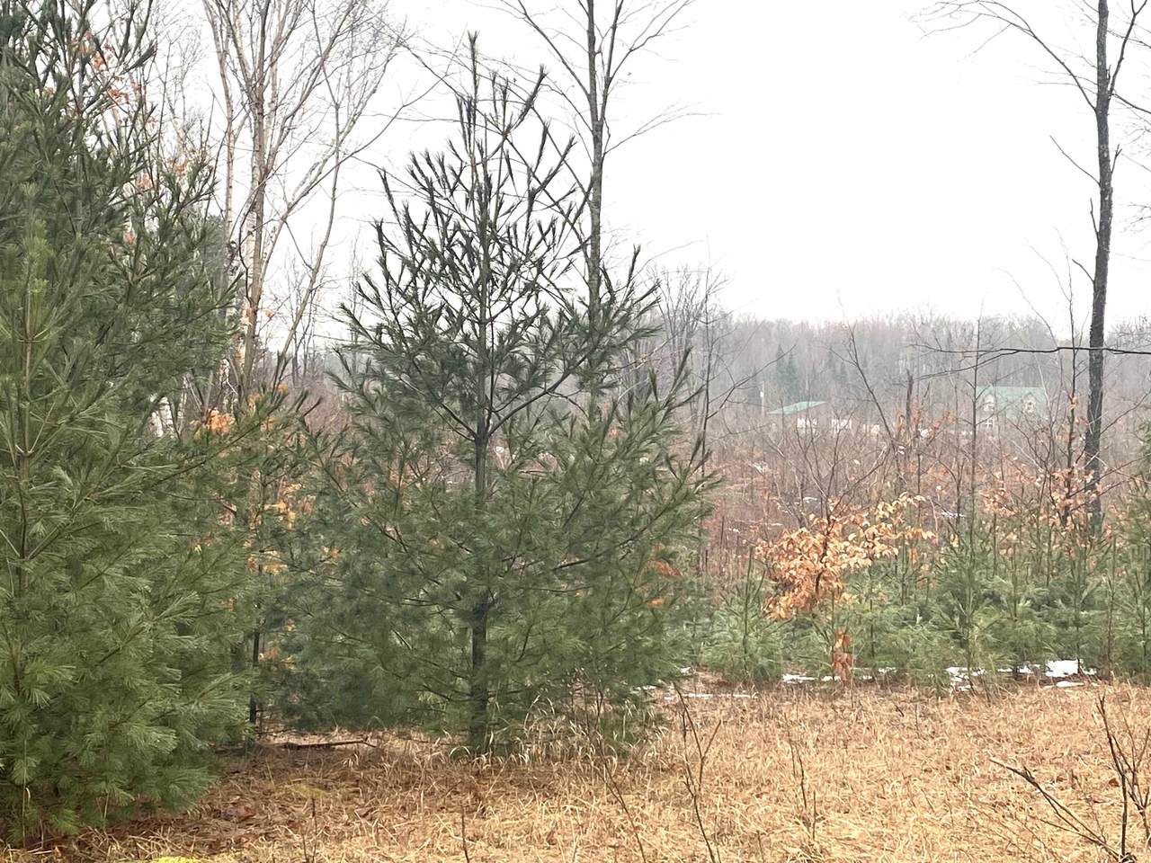 7667 King Road - Photo 1