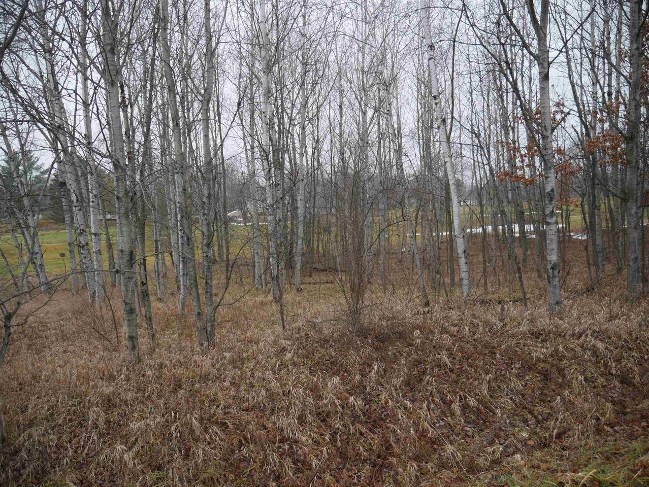 00 Linksview Way - Photo 1