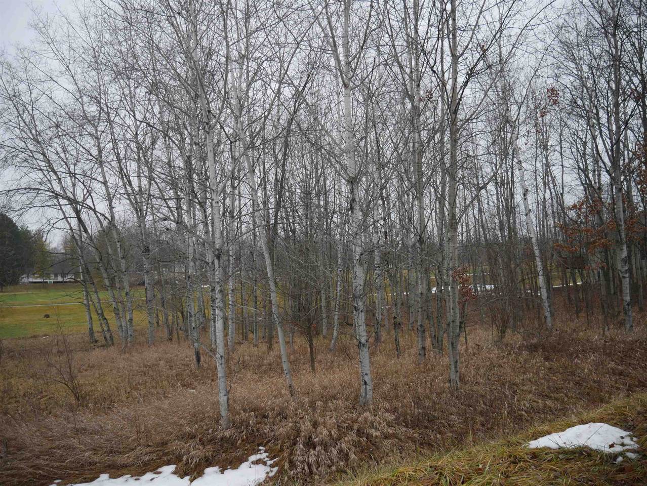 00 Track Iron Trail - Photo 1