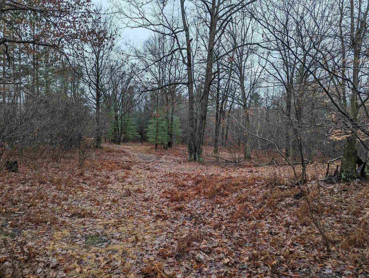 2002 Klender Road - Photo 1