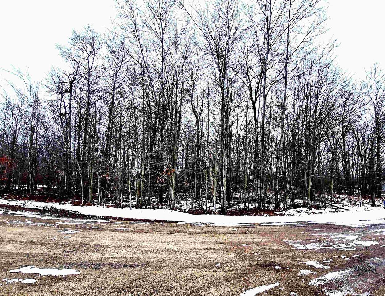 Lot 37 Fox Run Drive - Photo 1