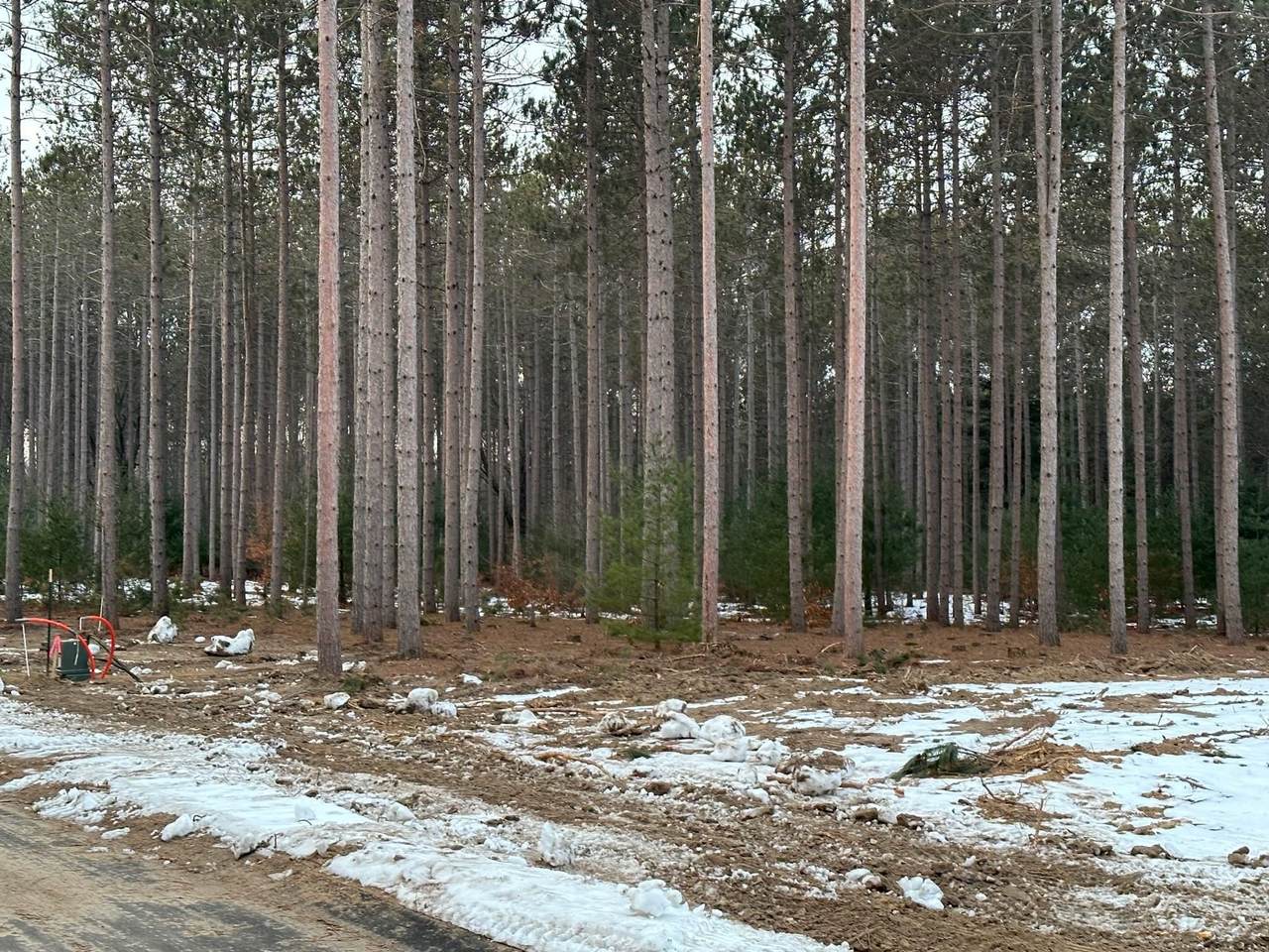 1833 Cascade Trail - Photo 1