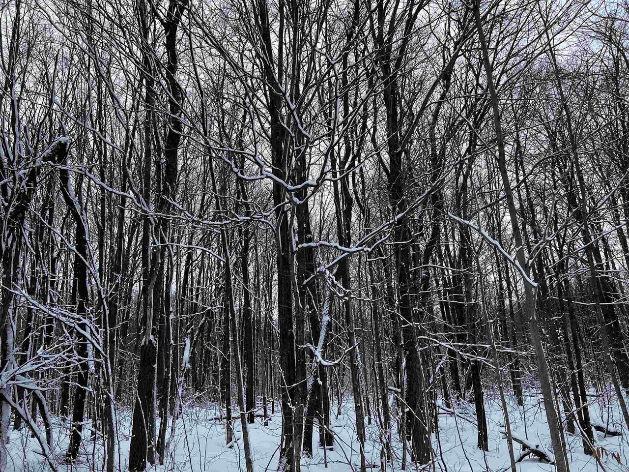 LOT # 635 Montrose Drive - Photo 1