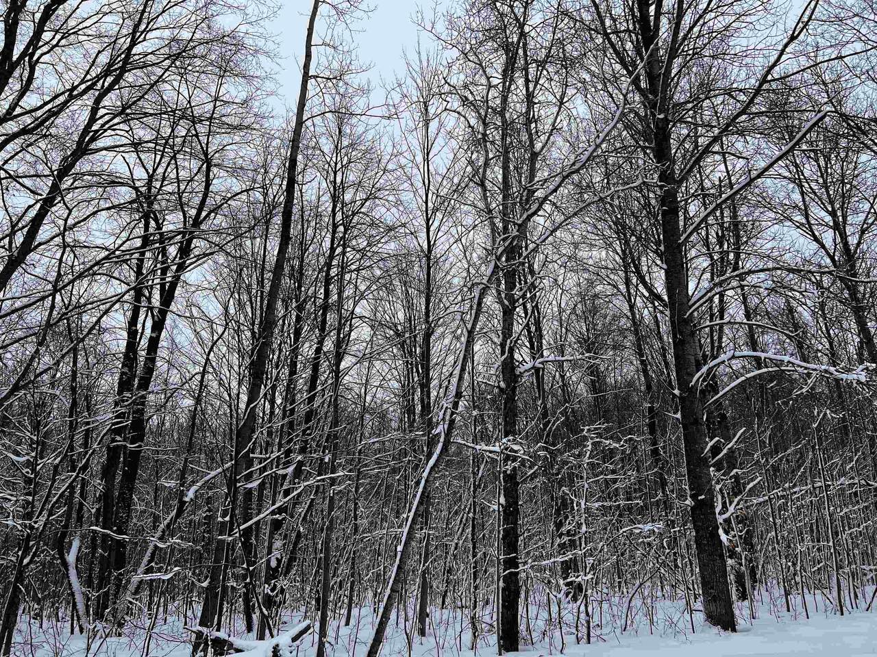 LOT # 405 Merrimon Court - Photo 1