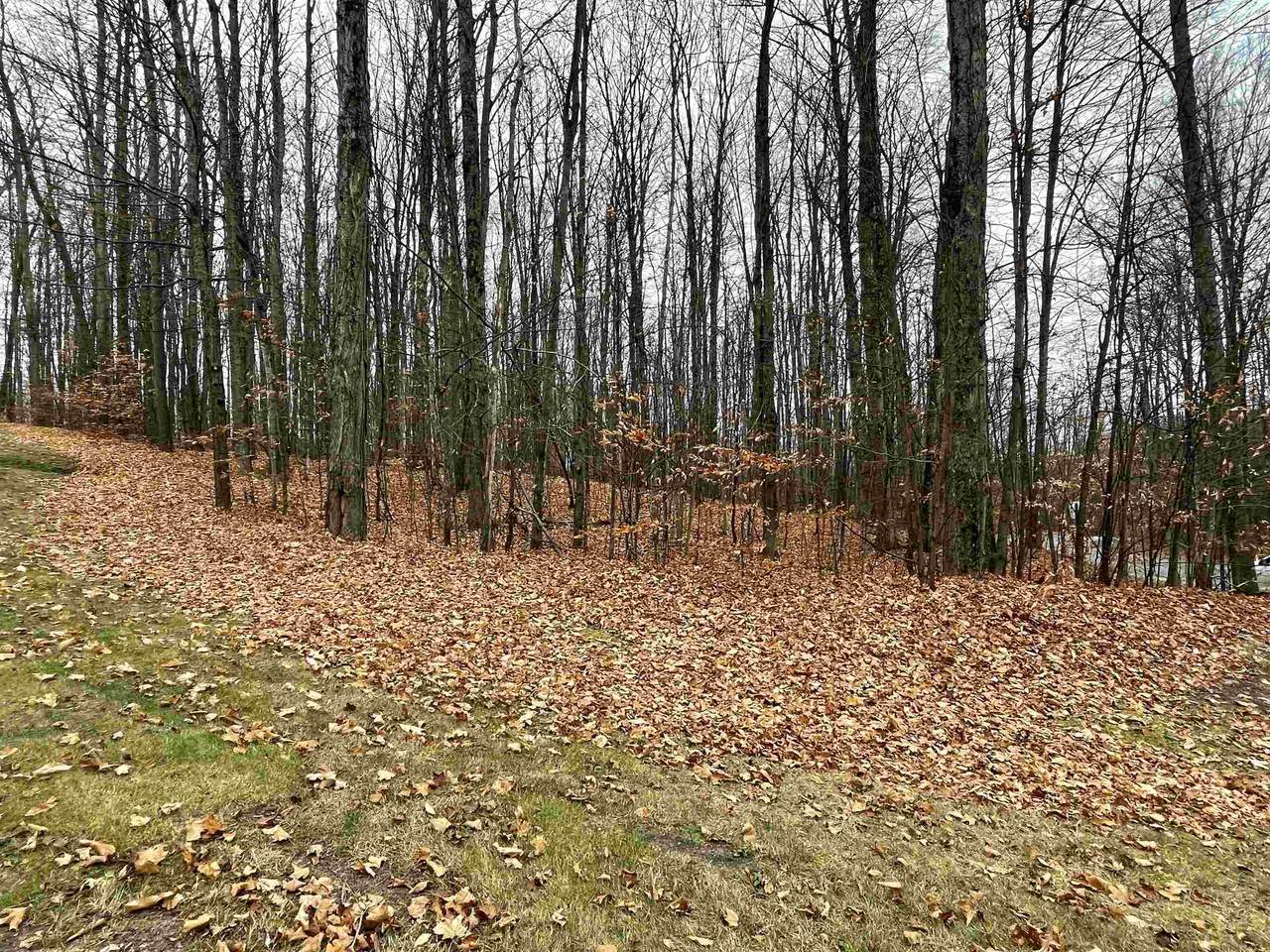 158 Forest Highlands - Photo 1