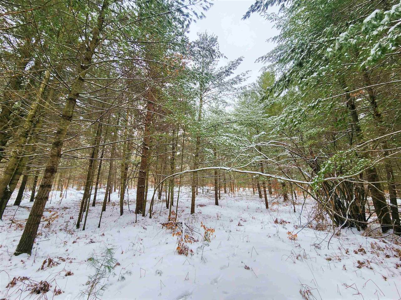 Lot 44 Woodwind Drive - Photo 1