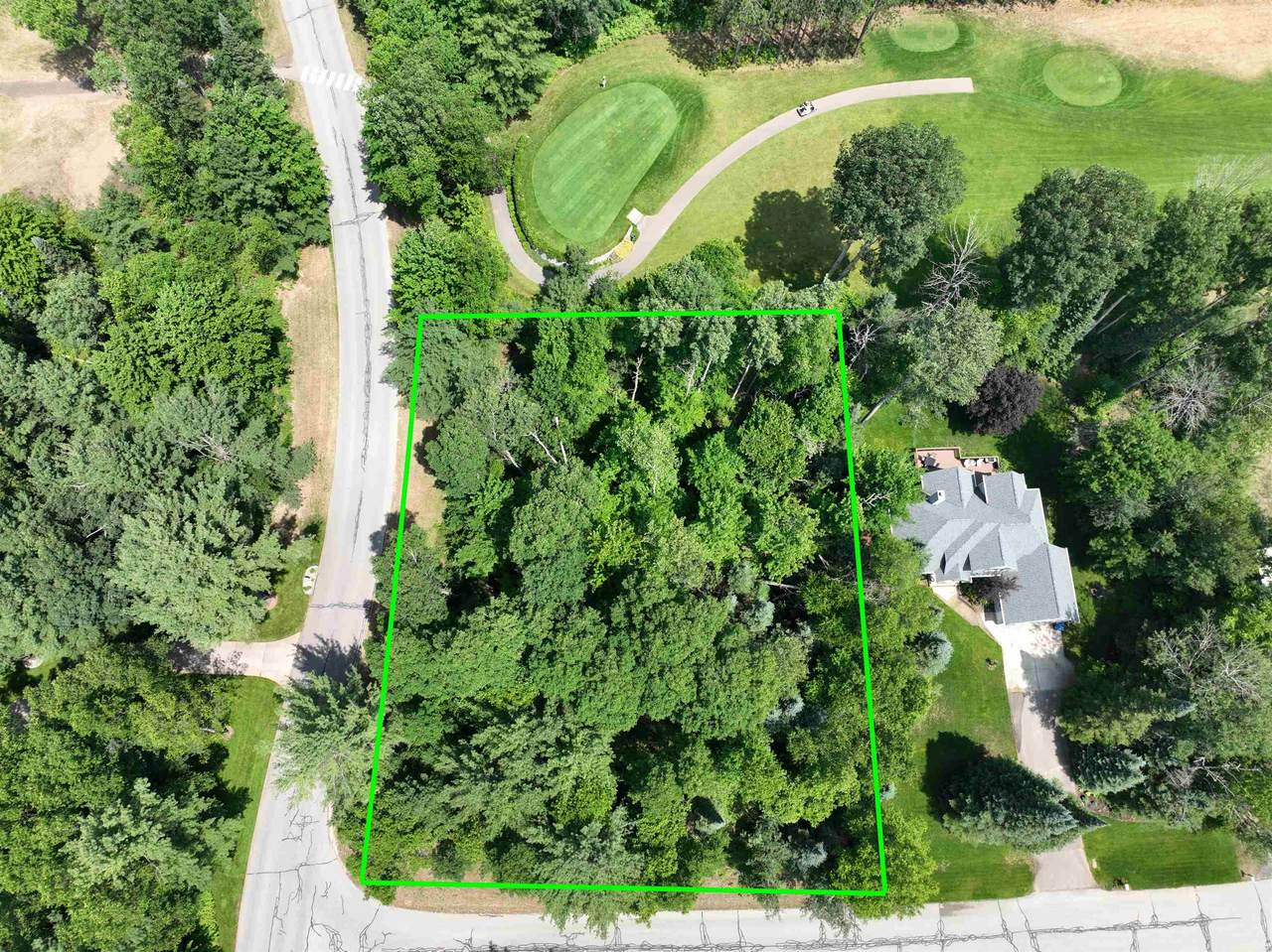 Lot 5 White Pine - Photo 1