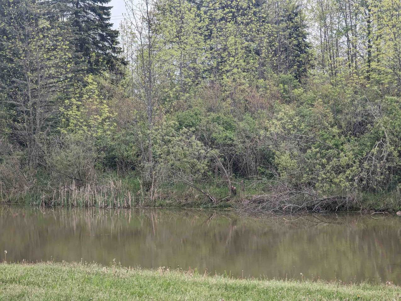 https://bt-photos.global.ssl.fastly.net/realsource/1280_boomver_1_80045879-2.jpg