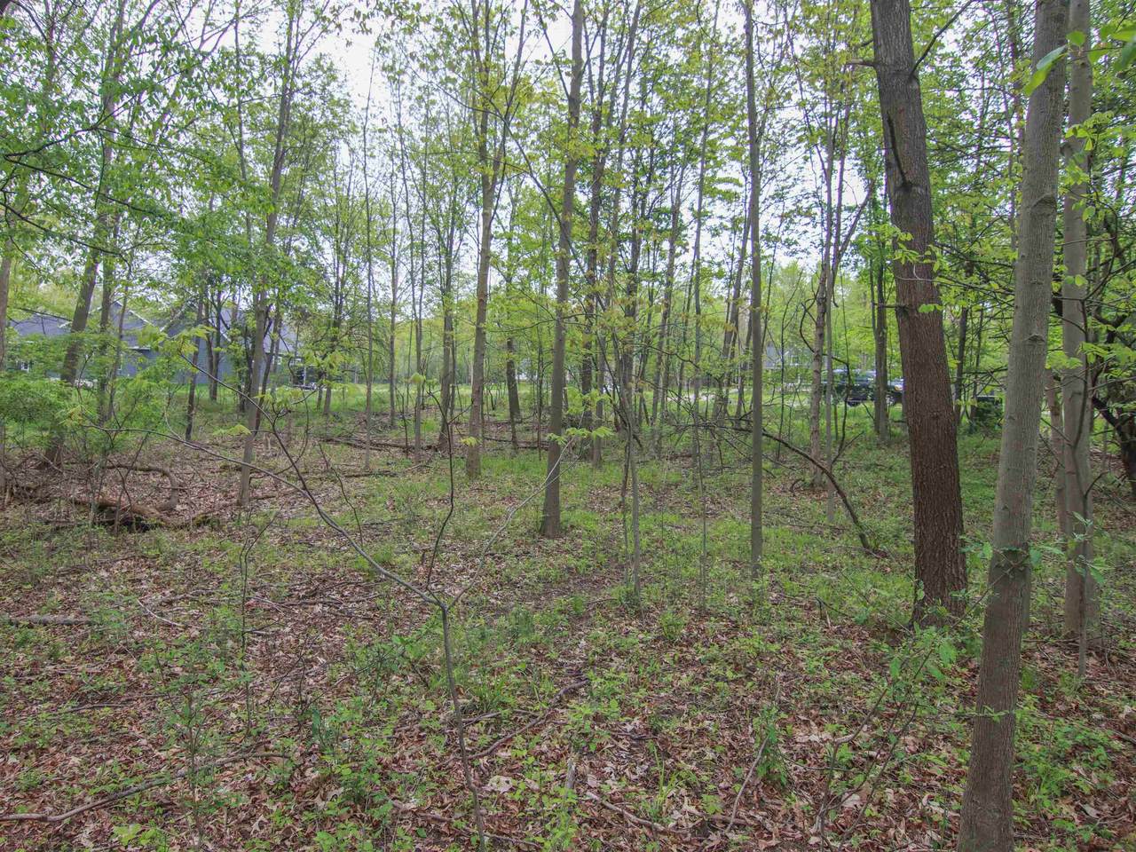 000-Unit 3 Ledgewood Ravine - Photo 1