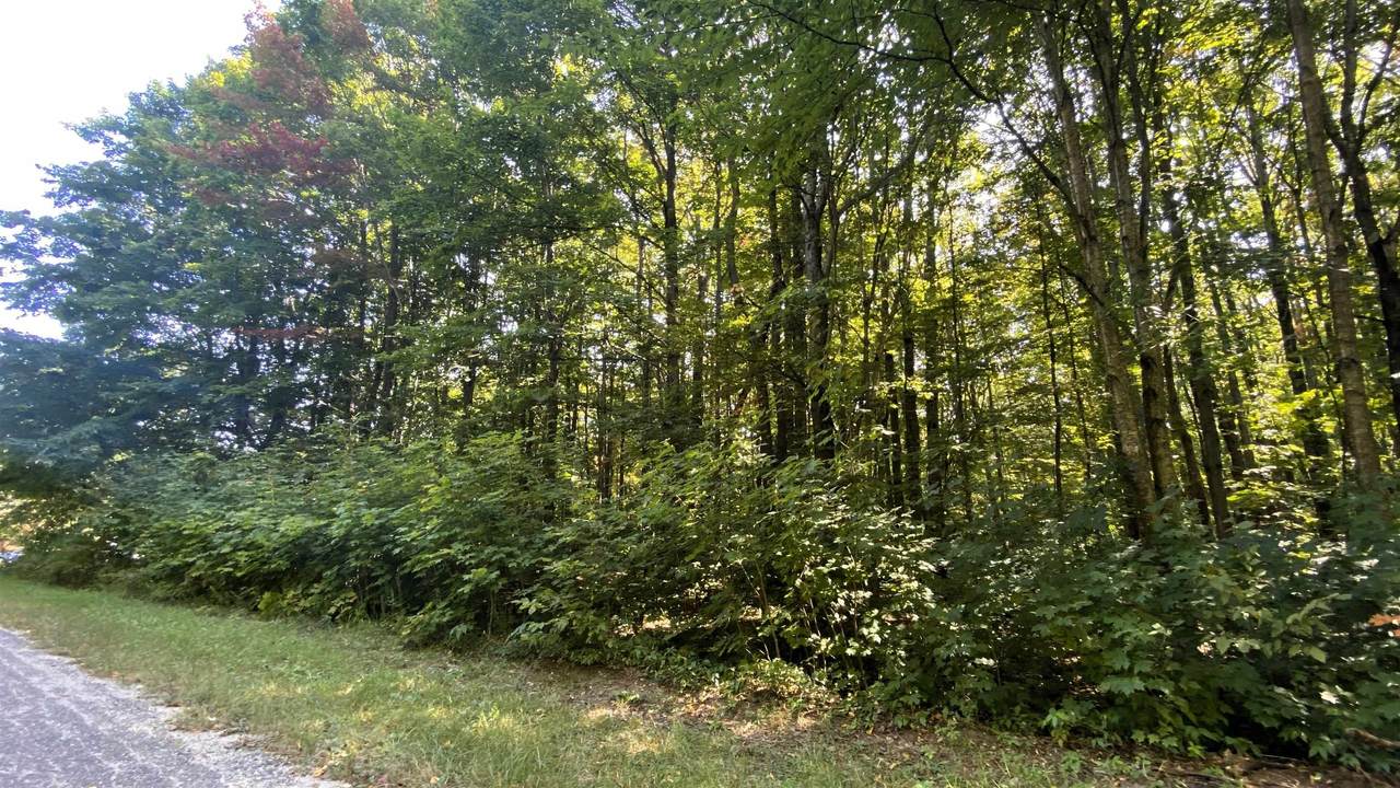 Lot 466 Northwood - Photo 1