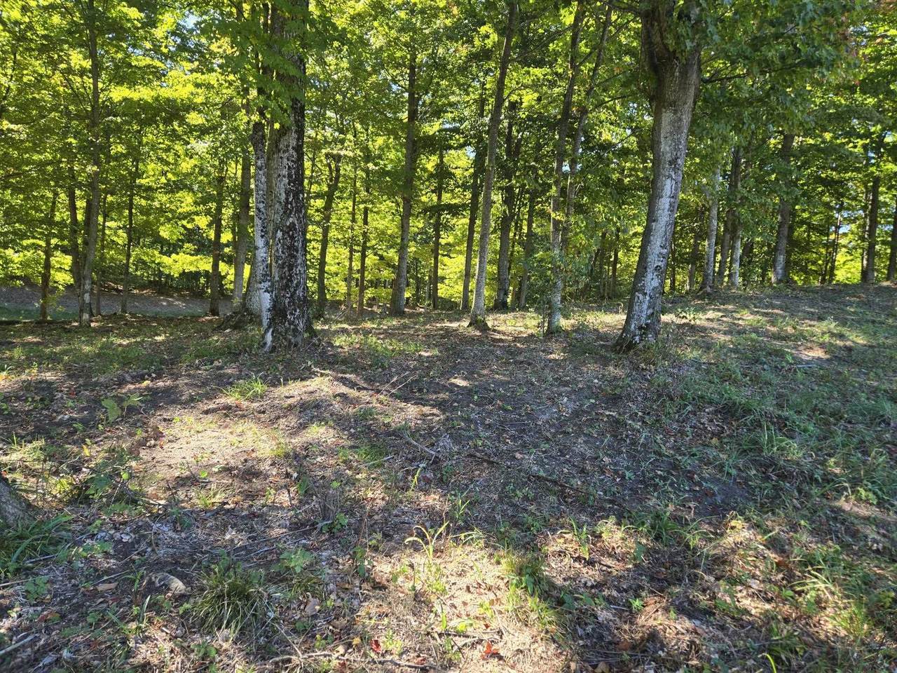 https://bt-photos.global.ssl.fastly.net/realsource/1280_boomver_1_80051331-2.jpg