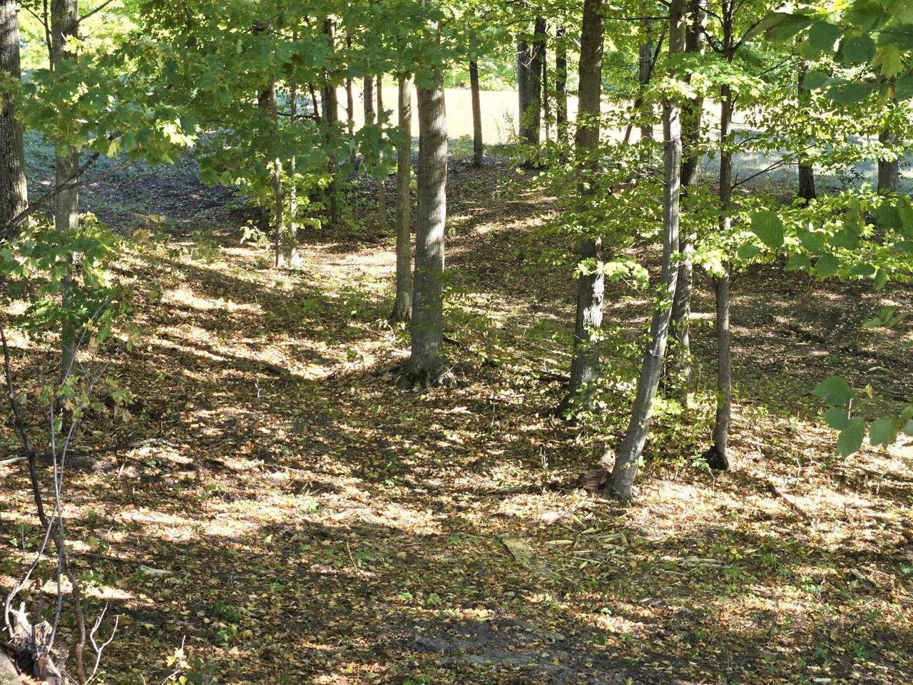 https://bt-photos.global.ssl.fastly.net/realsource/1280_boomver_1_80051332-2.jpg