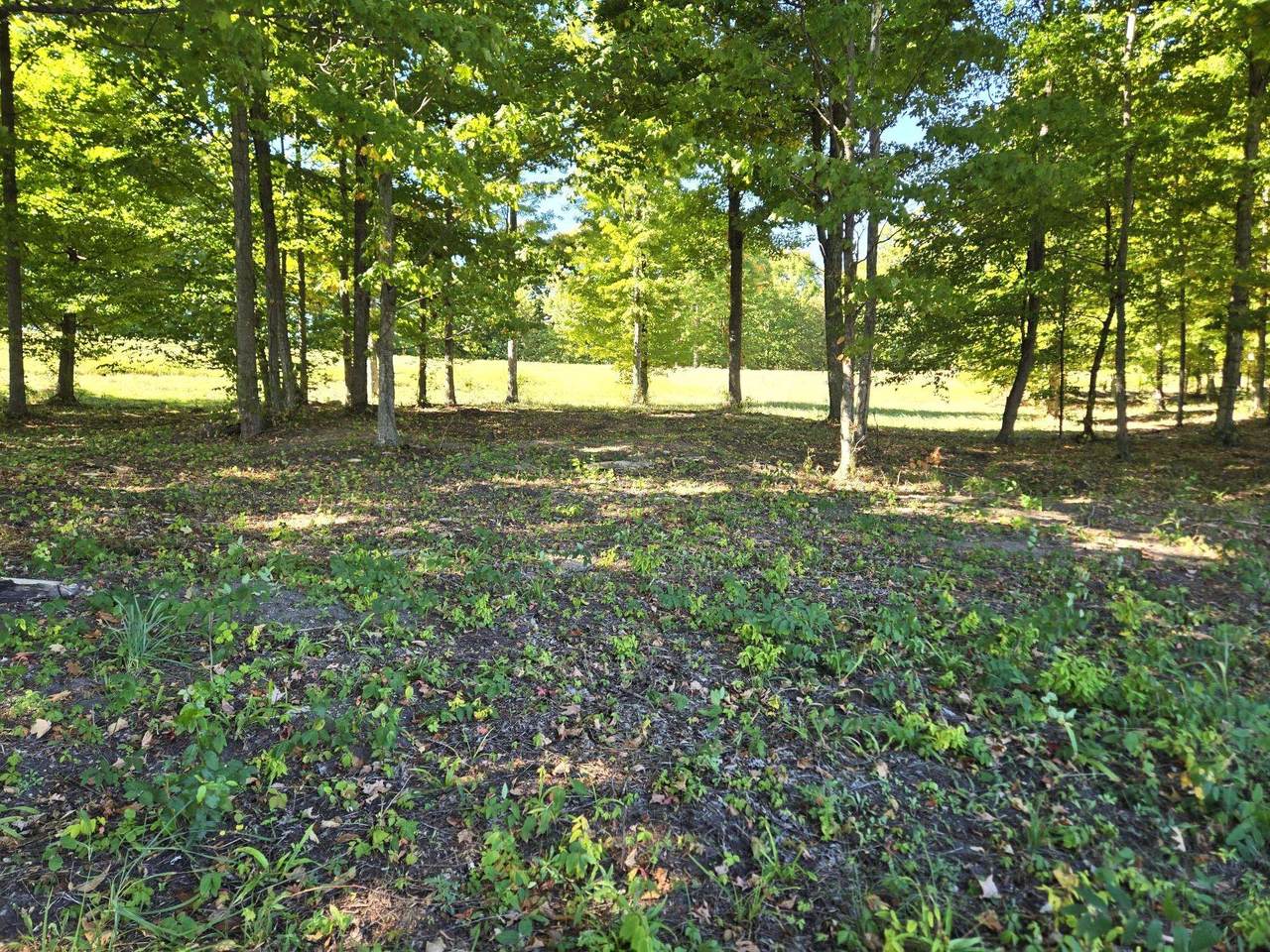 https://bt-photos.global.ssl.fastly.net/realsource/1280_boomver_1_80051357-2.jpg