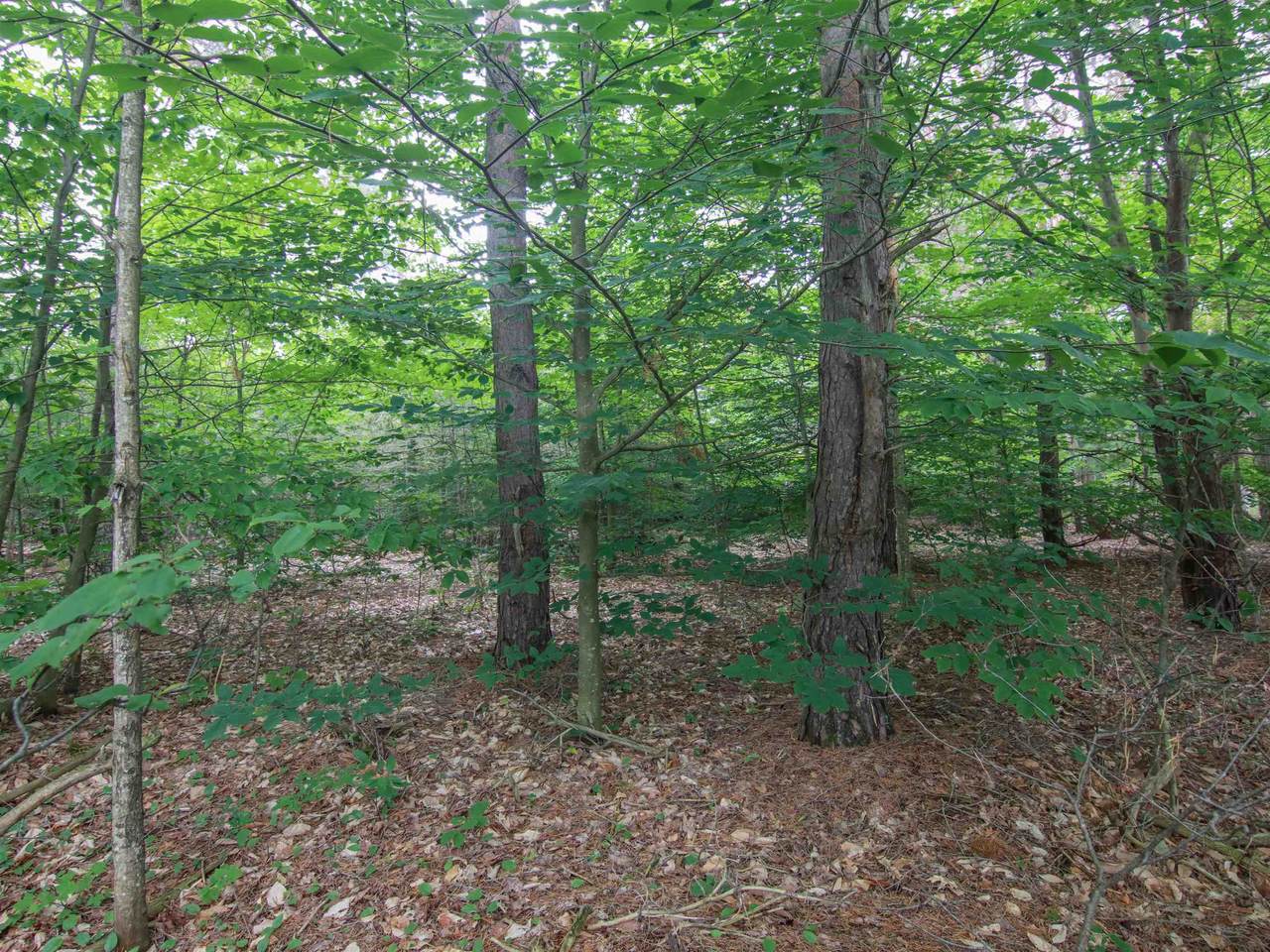000 Winding Creek - Photo 1