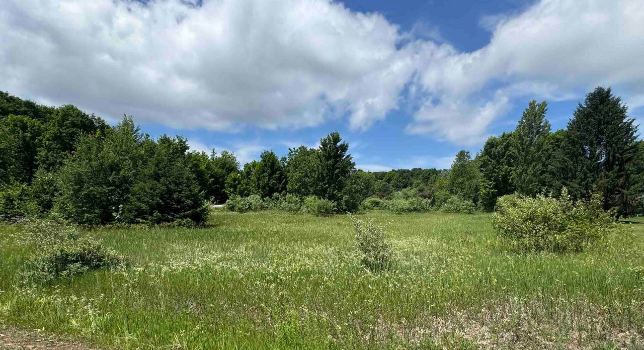 Lots 32 & 33 Ski View - Photo 1