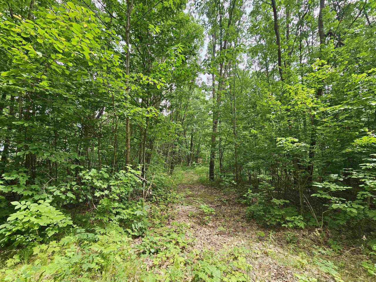 6509 Mareny - Photo 1