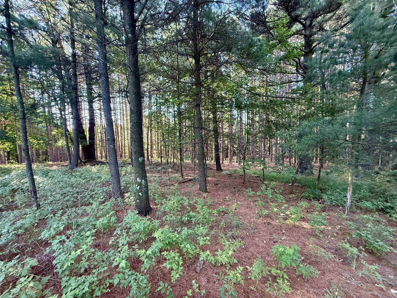 015 Westview - Photo 1