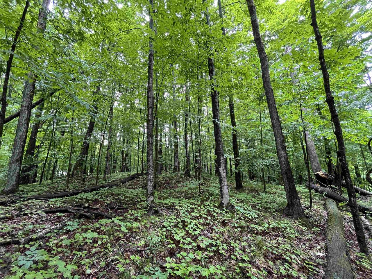 Lot 9 Staceywood - Photo 1