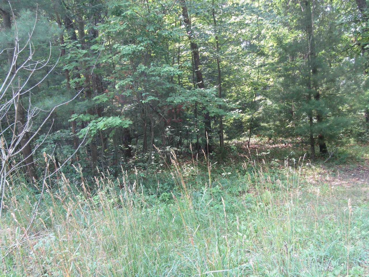 00_VL George - Photo 1