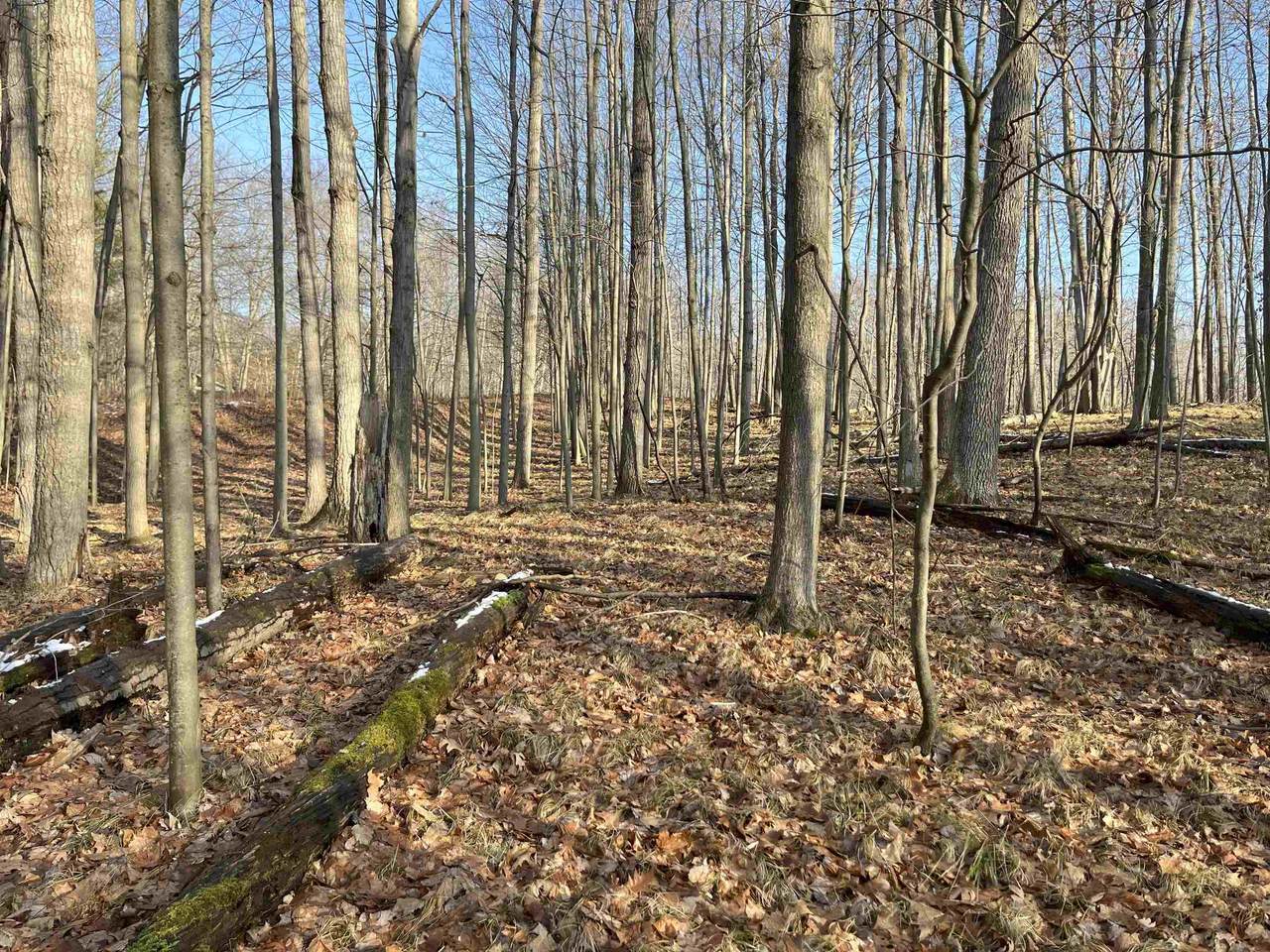 9357 Circle - Photo 1