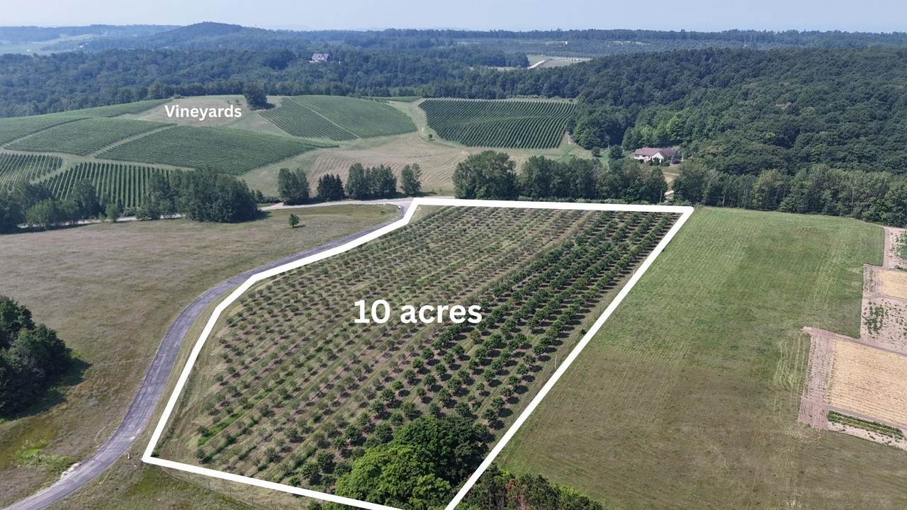 V/L Matheson - Photo 1