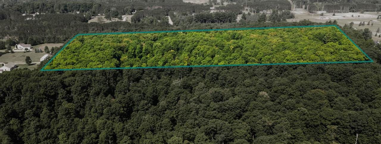 5811 Greenleaf - Photo 1