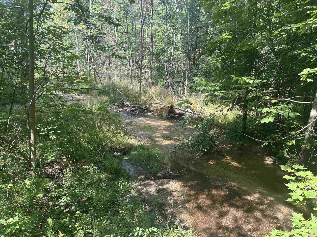 Parcel 2 M-88 - Photo 1