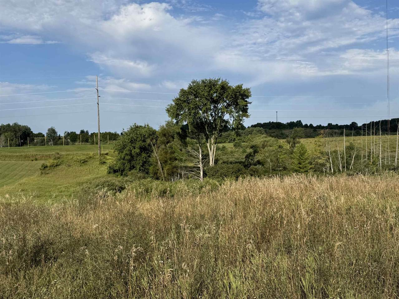 2231 Tyler Hills - Photo 1