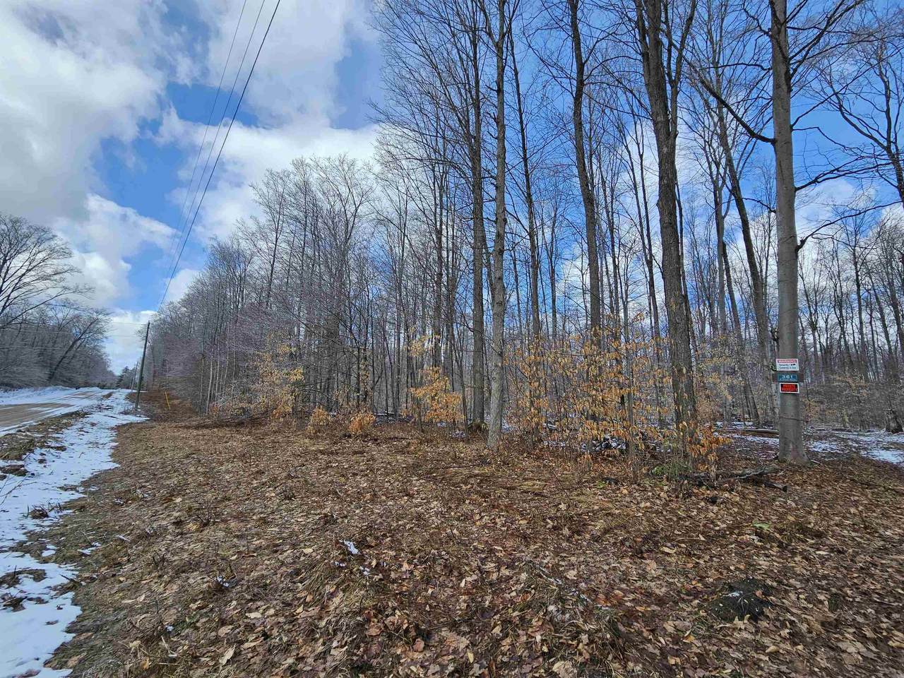 361 Rhoby - Photo 1