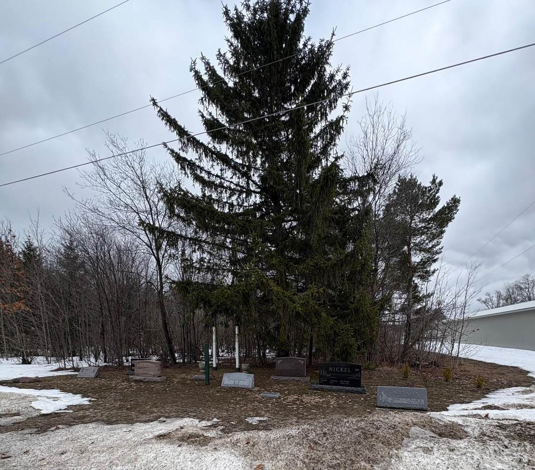 00 Cedar River - Photo 1