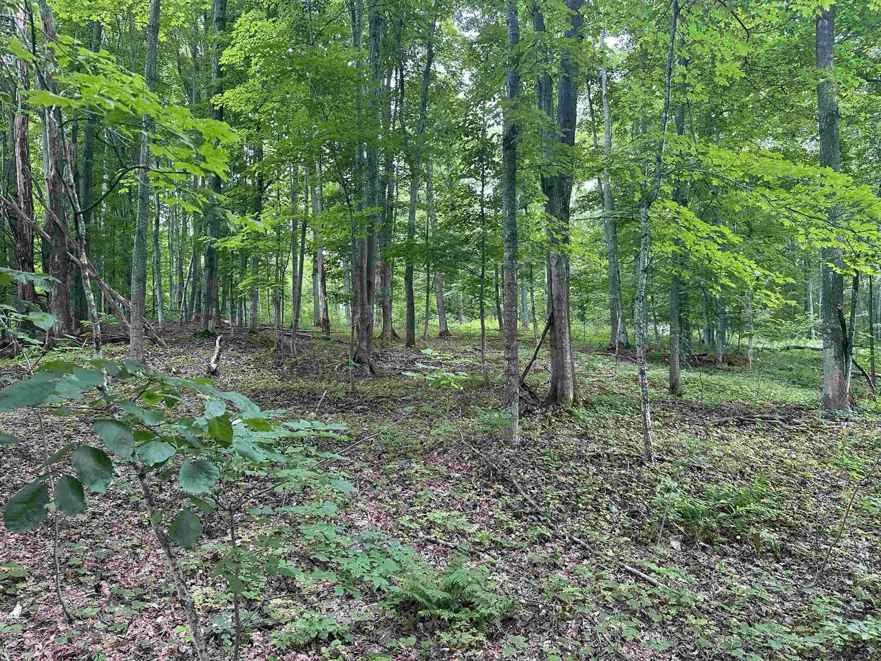 11599 Tower - Photo 1