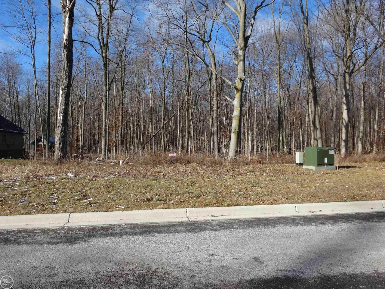 67811 Ashley Ave - Photo 1
